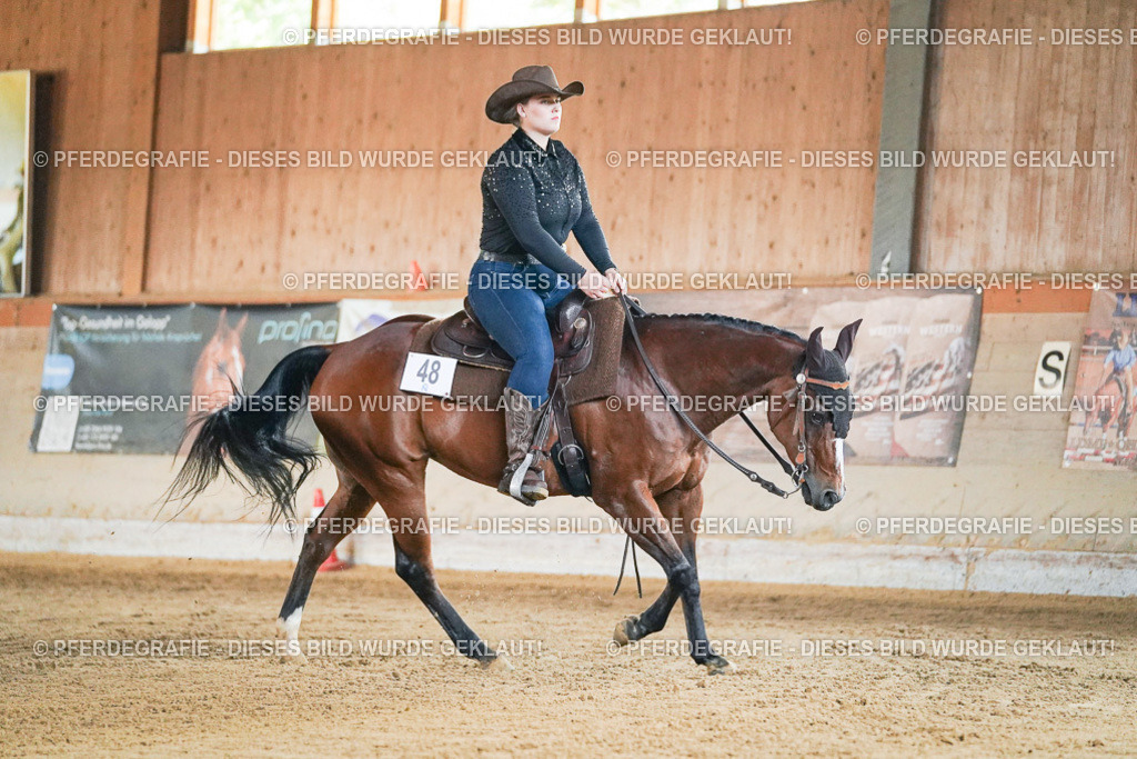 DSC05405 | Pferdegrafie