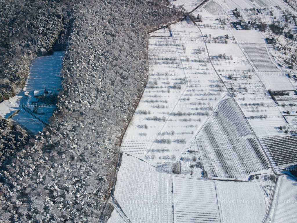 24B0067 | winterliche Baumstrukturen bei Göppingen