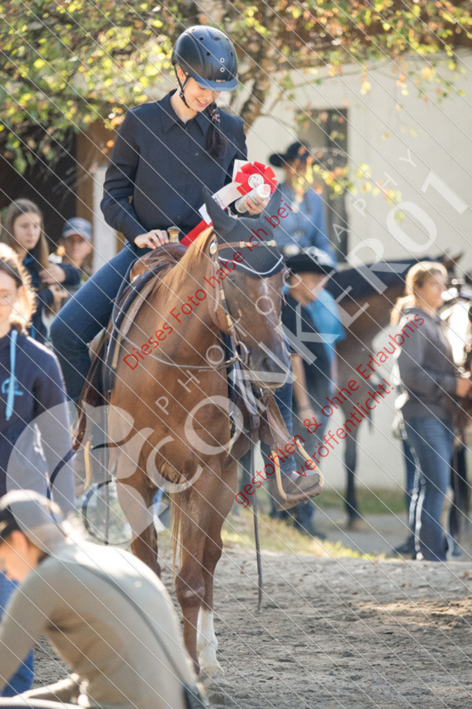IMG_6481 | Sport-, Event- und Tierfotos in Profiqualität. Einfach auswählen, bestellen und herunterladen. Dein Moment – perfekt festgehalten.
