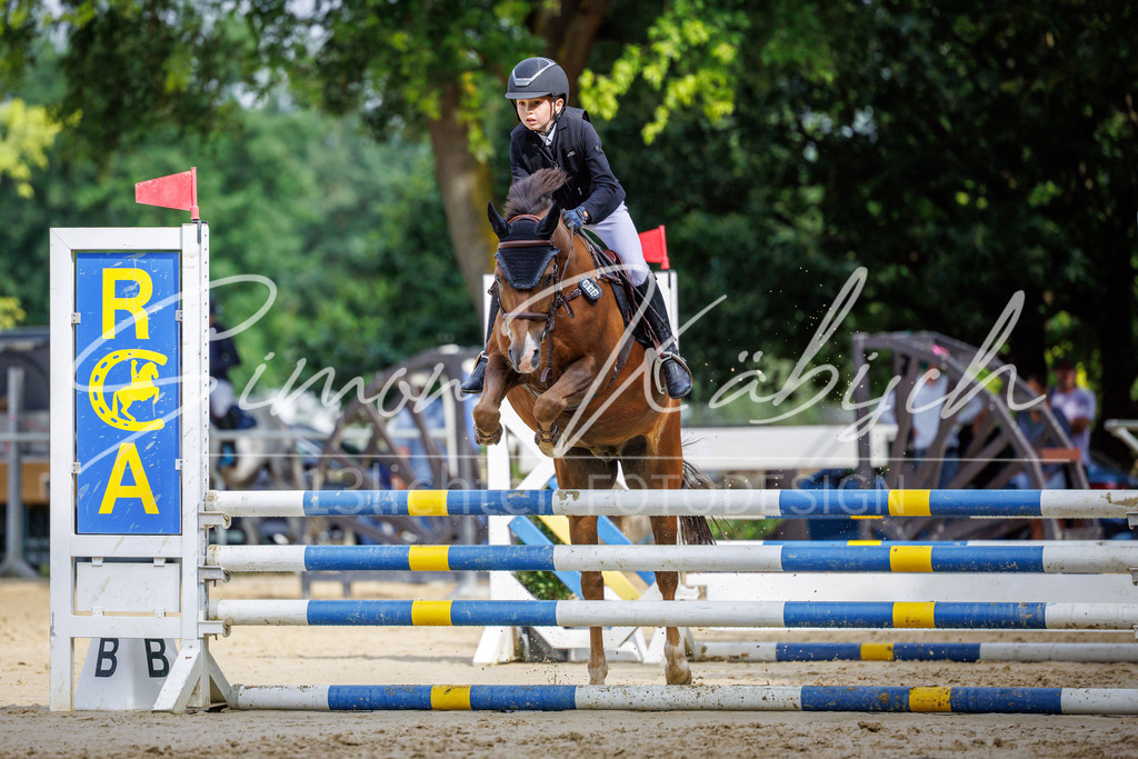 20260705-_3LI3951 | Tierfotografie Pferde, Hunde, Katzen, Haustiere.
Turnierfotografie Reitturniere, Reiten, Springreiten, Dressur in Hanau, dem Main-Kinzig-Kreis und dem Rhein-Main- Gebiet um Frankfurt