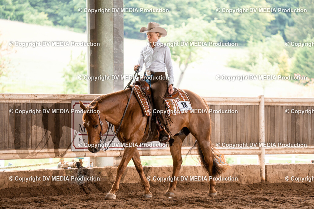 Erbach Tag 1-456 | dv-media-shop - Realisiert mit Pictrs.com