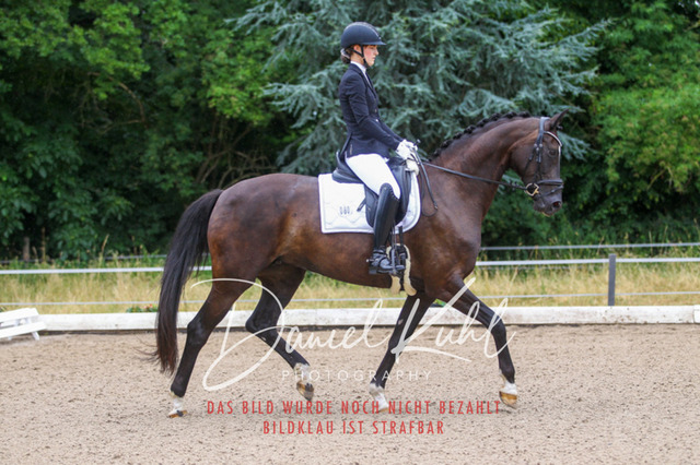 DKP47089 | Turniersportfotografie; Pferdefotografie; Dressurfotografie