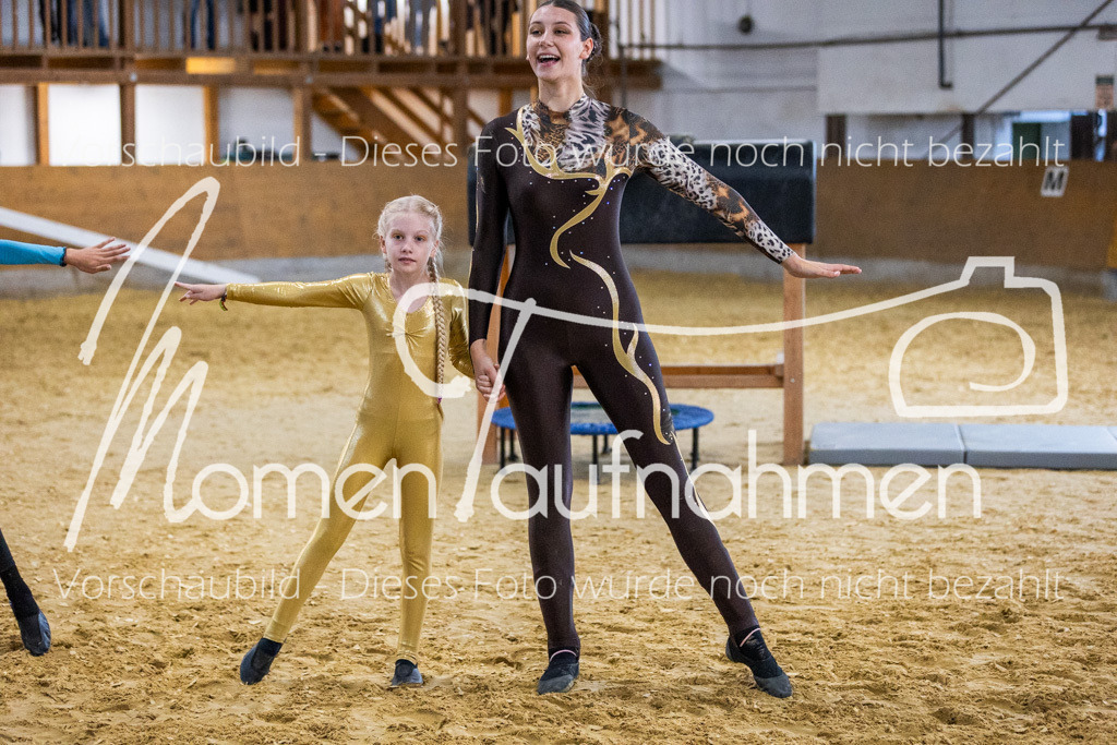 Holzpferd-075 | MomenTaufnahmen Pferdesportfotos