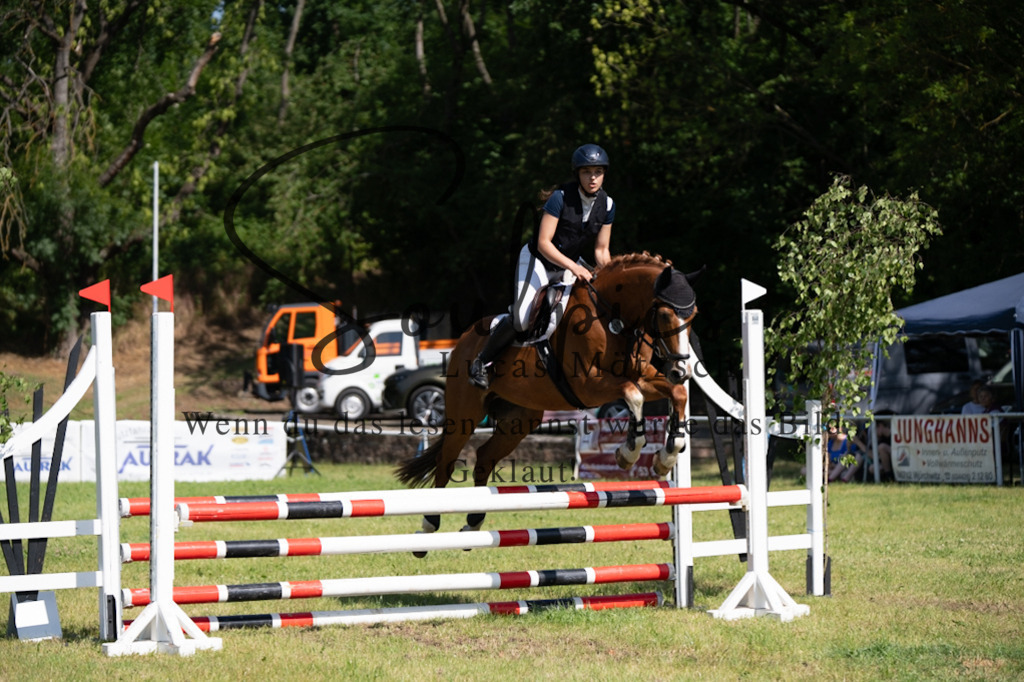 A7V05524 | Pferdefotograf