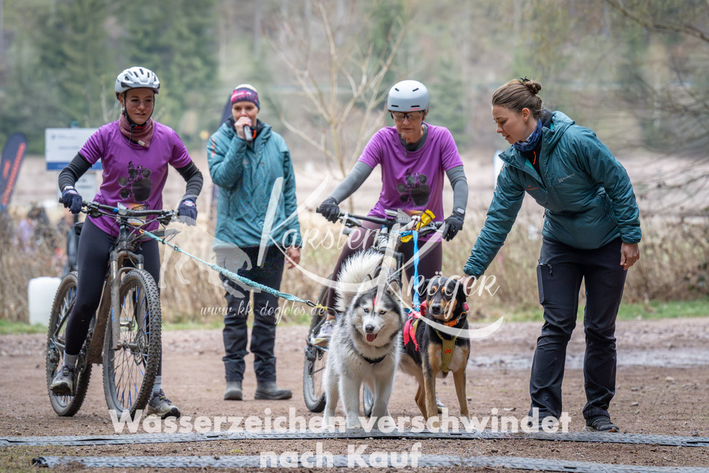 0941_ZZ91770 | kk-dogfotos