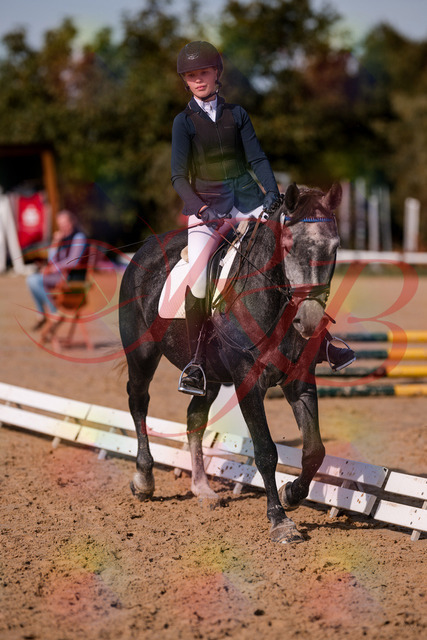 2026_10_03_Siefer-Hof_120028_Z81_02342375 | Professionelle Reitsport-, Turnier- und Eventfotografie von Robert Broda. Galerien mit ausgewählten und bearbeiteten Bildern direkt online ansehen und bestellen.