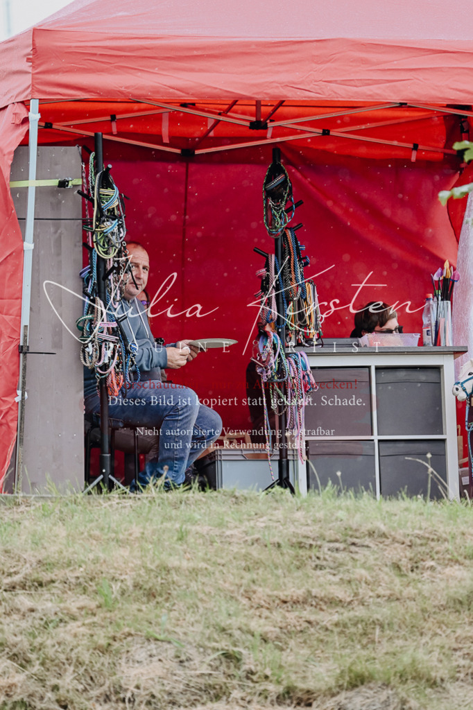 DSC_7020 | Pferde- und Turnierfotografie in Westsachsen. Pferdeportraits, Auftragszeichnungen und intuitive Kunst.