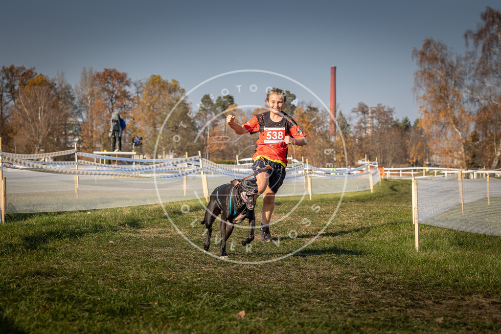 CaniXpix_0L8A9004 | Hundefotografie, Tierfotograf, Pfotenfotografie, Fotoshooting Hund, Hunde Portrait, Hundesport, Hundeportraits, Heideshooting, Hunde, Sportfotograf, Hundefotograf, Turnierhundsport, THS,  - Realisiert mit Pictrs.com