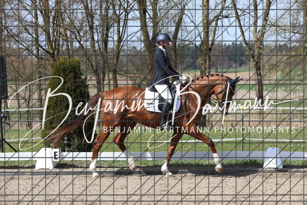 AZ2A5916 | Benjamin Bartmann Photomoments