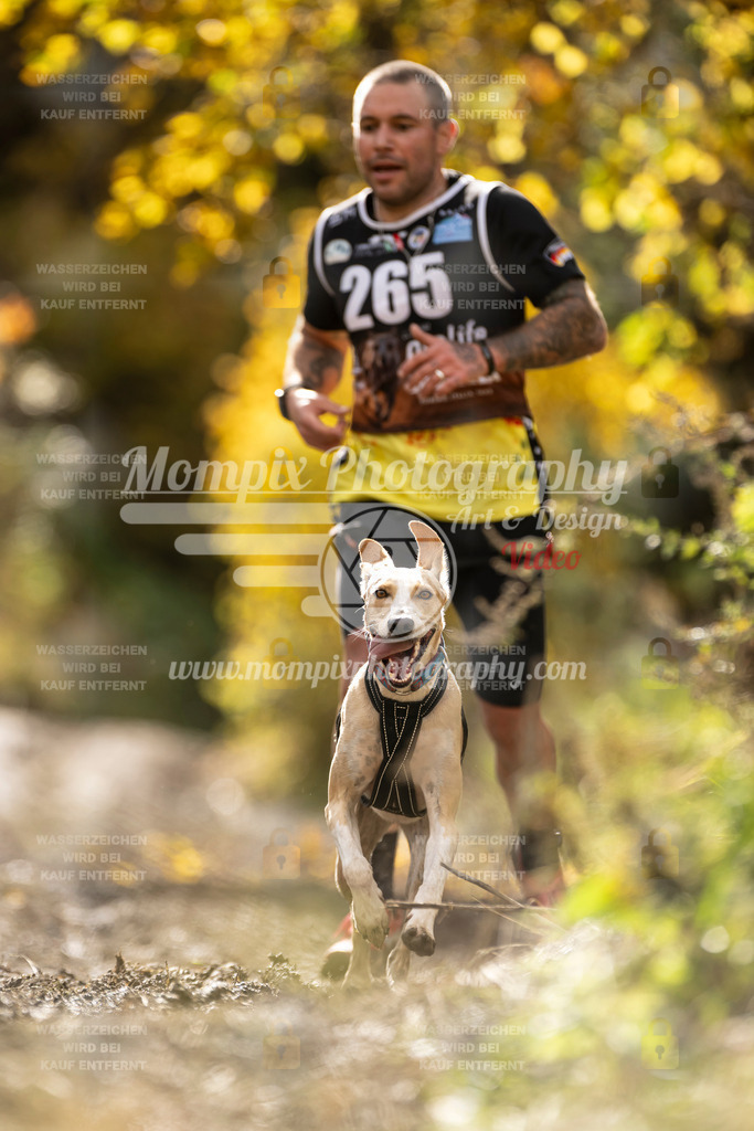 MompixPhotography_ICF_WC_2024_SA_Run_-83 | PayLife