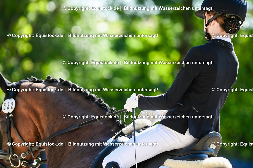 20230908_06_Dressur-L-Trense_0302 | equistock