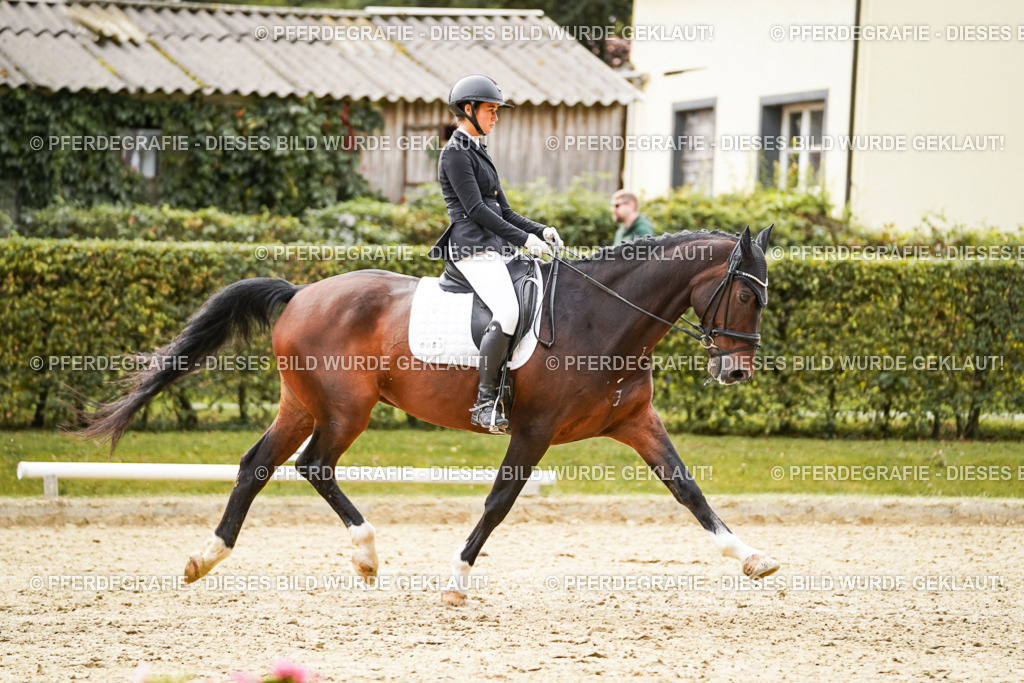 DSC09850 | Pferdegrafie