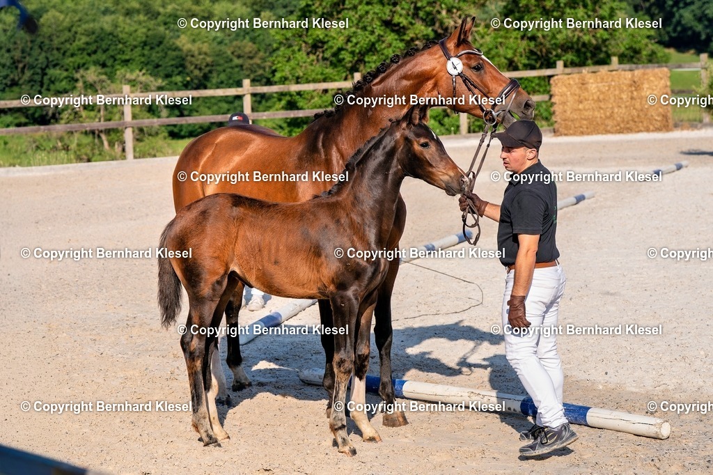 2A905729 | foto-team-bernhard - Realisiert mit Pictrs.com