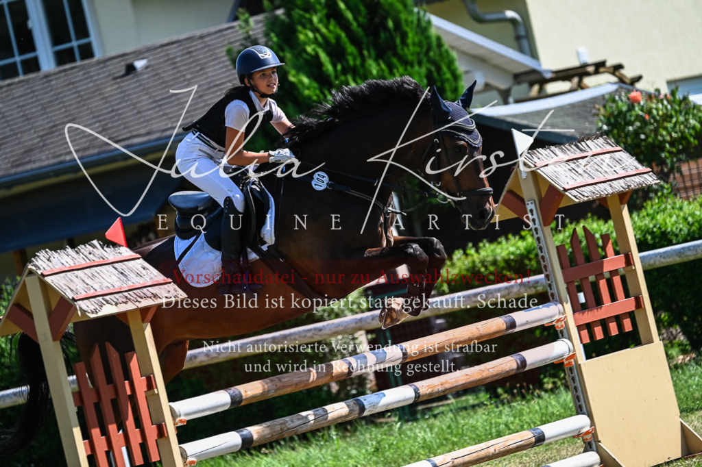 DSC_1391 | Pferde- und Turnierfotografie in Westsachsen. Pferdeportraits, Auftragszeichnungen und intuitive Kunst.