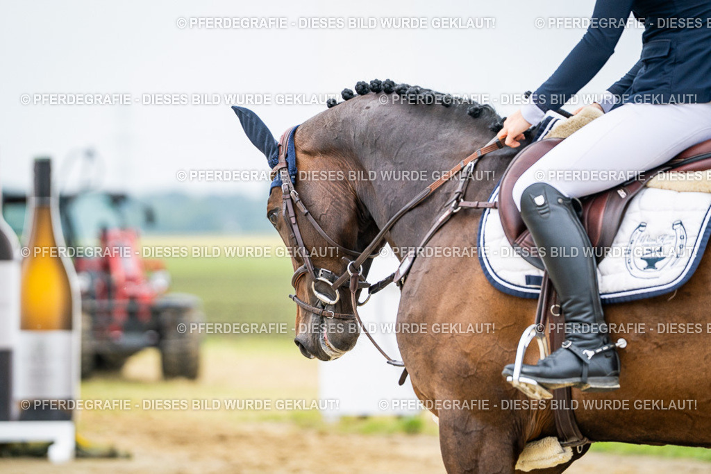 DSC00122 | Pferdegrafie