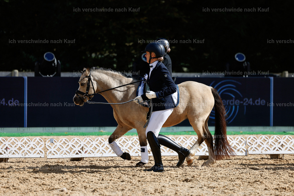 01--Ponyführzügel -StoibPH-6613 | working equitationturnier fotograf videograf stoibphotography marixx film working equitation deutschland reitsport turnierfotografie eventfotografie equestrian events