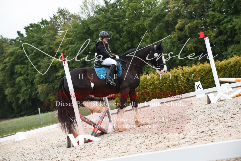 20230518_JK-Röhrsdorf-10-377 | Pferde- und Turnierfotografie in Westsachsen. Pferdeportraits, Auftragszeichnungen und intuitive Kunst.