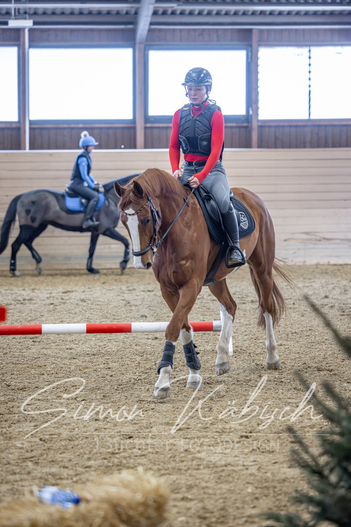 20260221-_3LI8892 | Tierfotografie Pferde, Hunde, Katzen, Haustiere.
Turnierfotografie Reitturniere, Reiten, Springreiten, Dressur in Hanau, dem Main-Kinzig-Kreis und dem Rhein-Main- Gebiet um Frankfurt