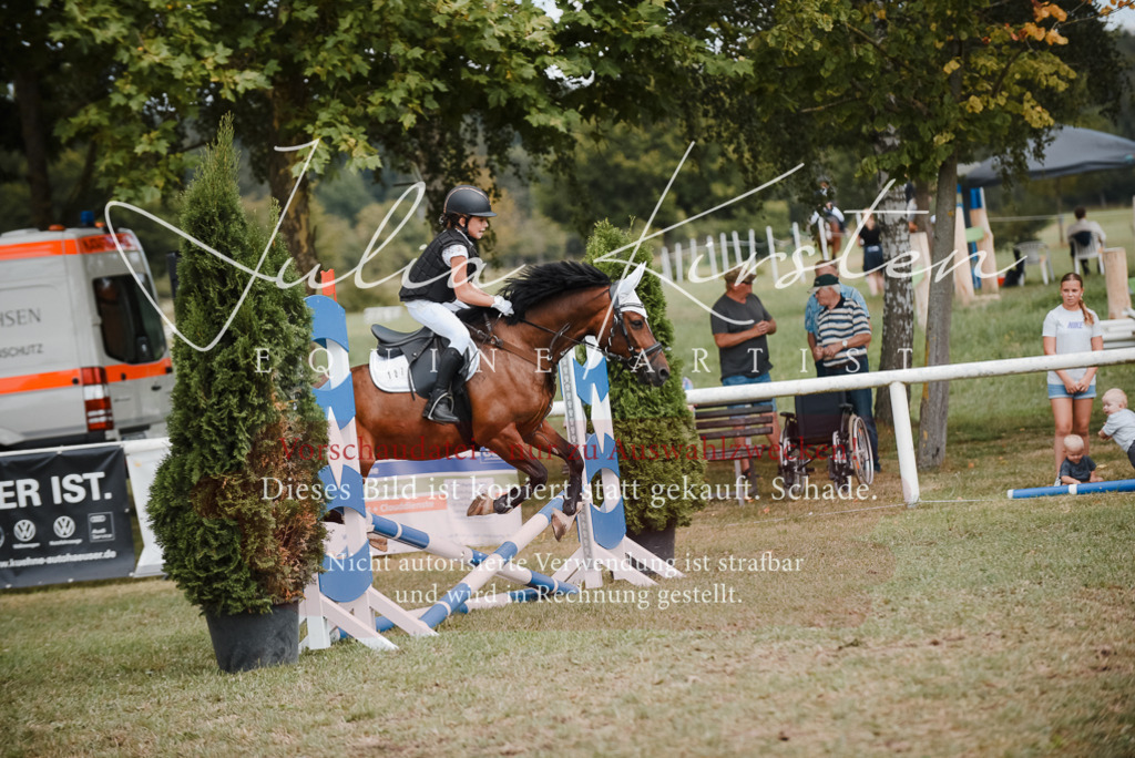 DSC_5495 | Pferde- und Turnierfotografie in Westsachsen. Pferdeportraits, Auftragszeichnungen und intuitive Kunst.