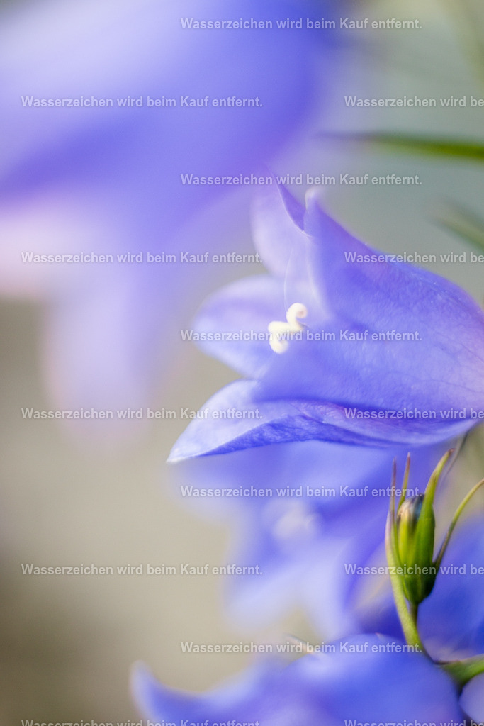 Ist wirklich alles schwer? | Die Botschaft zum Bild lautet: Stimmt es wirklich, dass in deinem Leben alles so schwer ist? Nutze die Wahrheit des blauen Lichtes. Beleuchte es, jede Situation in Deinem Leben und lasse die Schwere los und finde die Leichtigkeit.