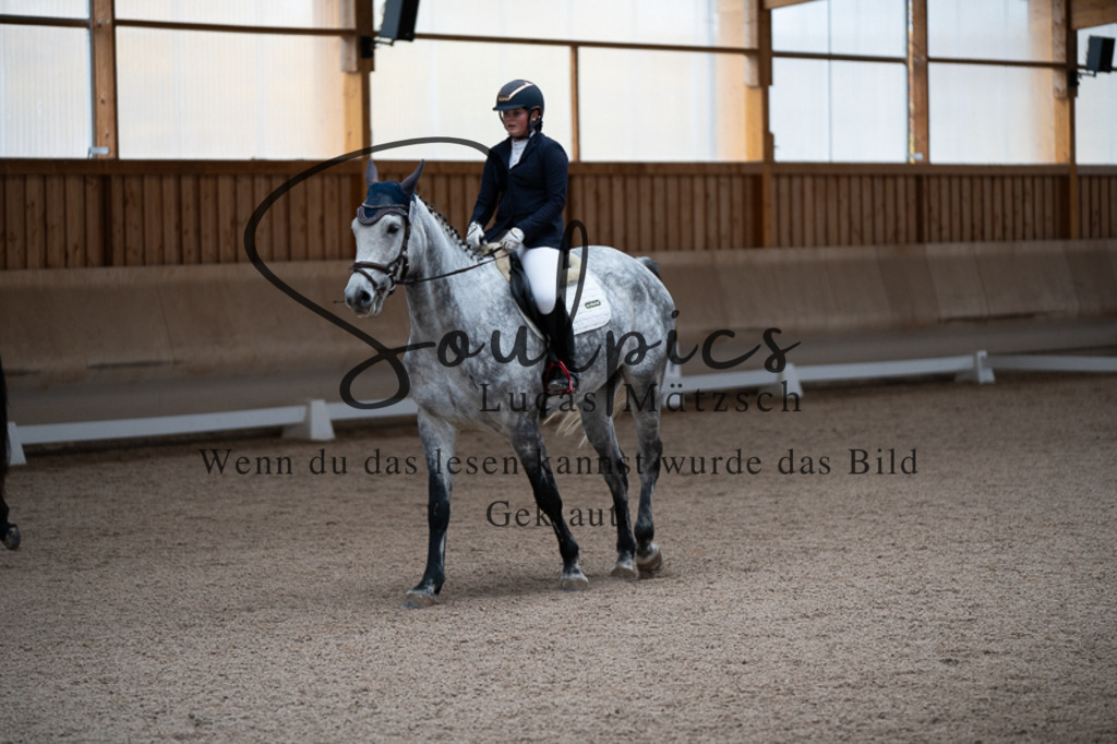 A7V02562 | Pferdefotograf