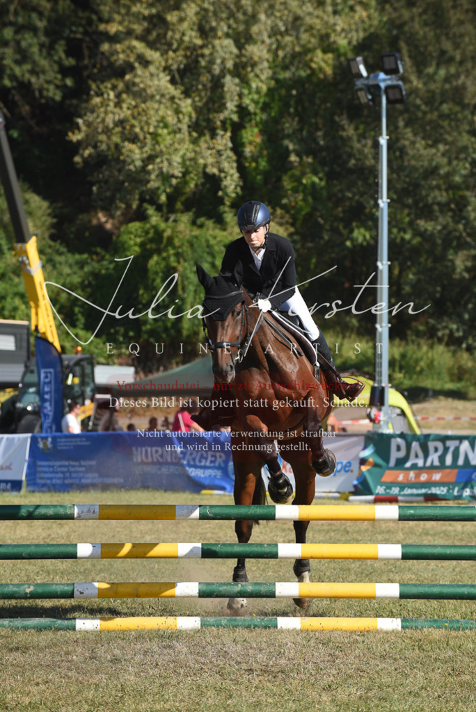 DSC_5400 | Pferde- und Turnierfotografie in Westsachsen. Pferdeportraits, Auftragszeichnungen und intuitive Kunst.