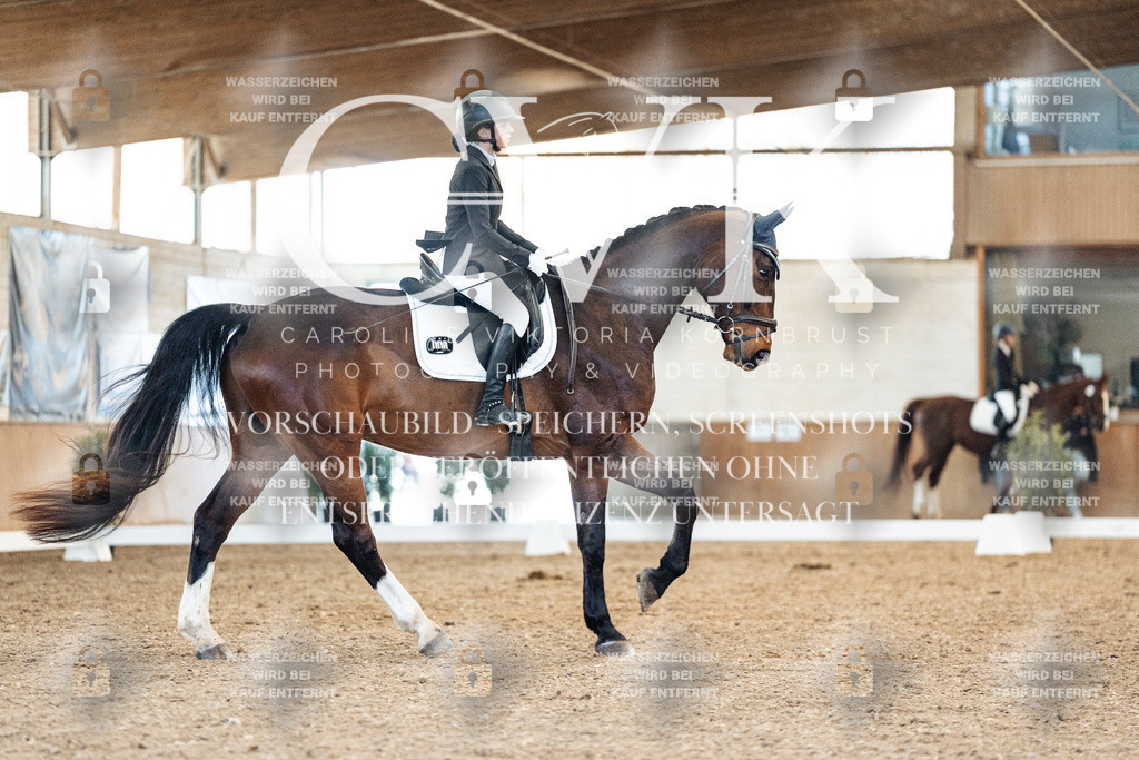 CK908489 | Turnierfotografie Pferdefotografie Trier Rheinland-Pfalz Pferdesport Reitsport Tierfotografie Sportfotografie Pferdevideo Pferdevideografie Equestrianvideography equestrianphotography  - Realisiert mit Pictrs.com