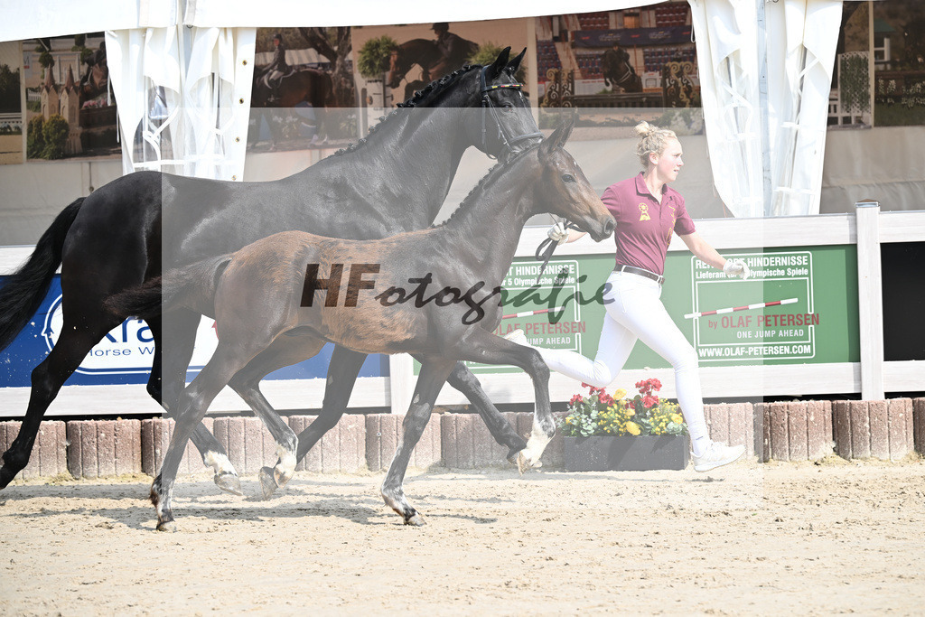 Escaneno x Ganymedes_HF_Amann_12250197 | hf-fotografie - Realisiert mit Pictrs.com