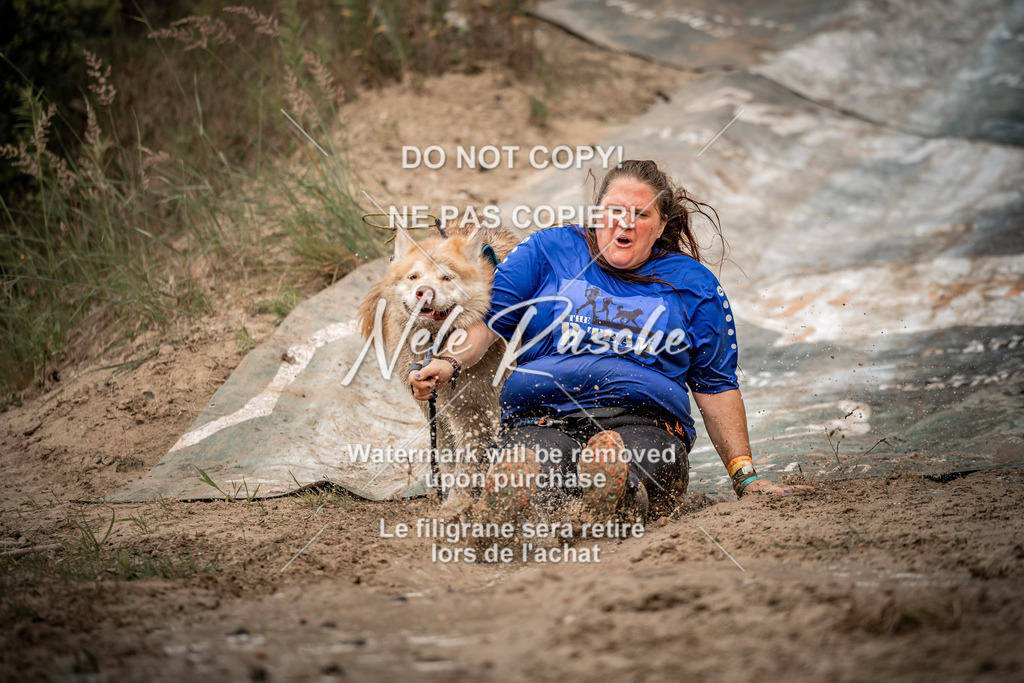 nelerasche_sa0800-1000_461 | nelerasche