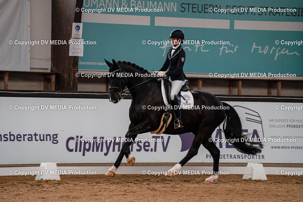 Kranichstein Tag 1-352 | dv-media-shop - Realisiert mit Pictrs.com