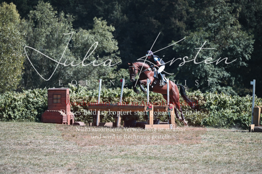 DSC_8486 | Pferde- und Turnierfotografie in Westsachsen. Pferdeportraits, Auftragszeichnungen und intuitive Kunst.