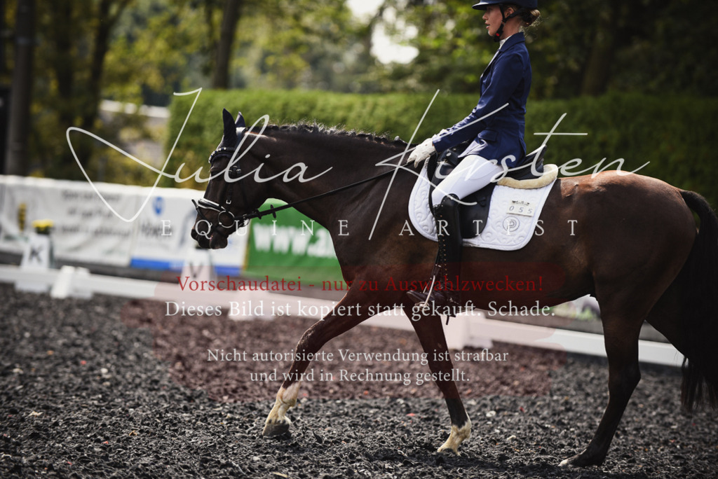 DSC_3859 | Pferde- und Turnierfotografie in Westsachsen. Pferdeportraits, Auftragszeichnungen und intuitive Kunst.