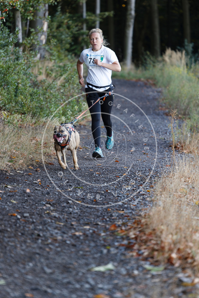 0L8A2043 | Hundefotografie, Tierfotograf, Pfotenfotografie, Fotoshooting Hund, Hunde Portrait, Hundesport, Hundeportraits, Heideshooting, Hunde, Sportfotograf, Hundefotograf, Turnierhundsport, THS,  - Realisiert mit Pictrs.com
