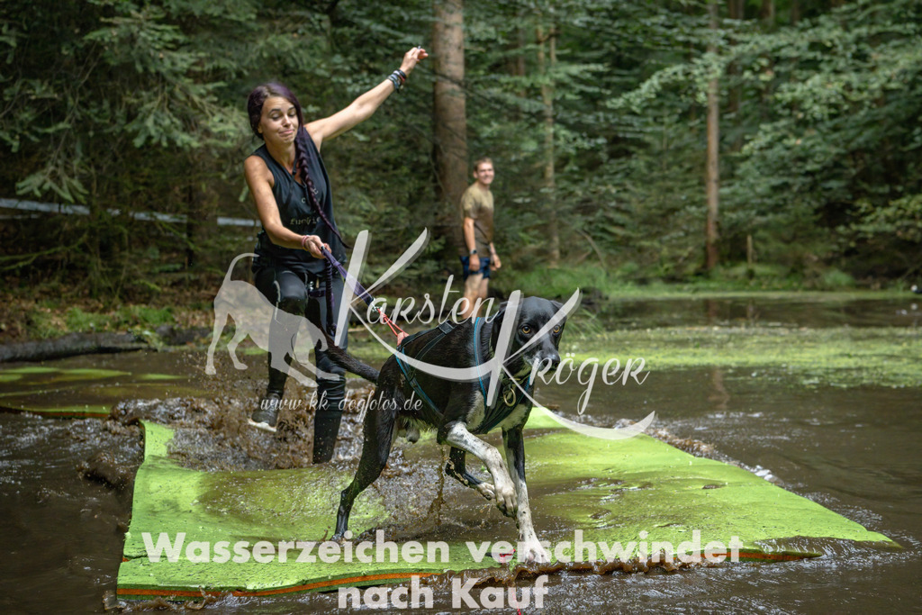 1532_ZZ91211-Bearbeitet | kk-dogfotos