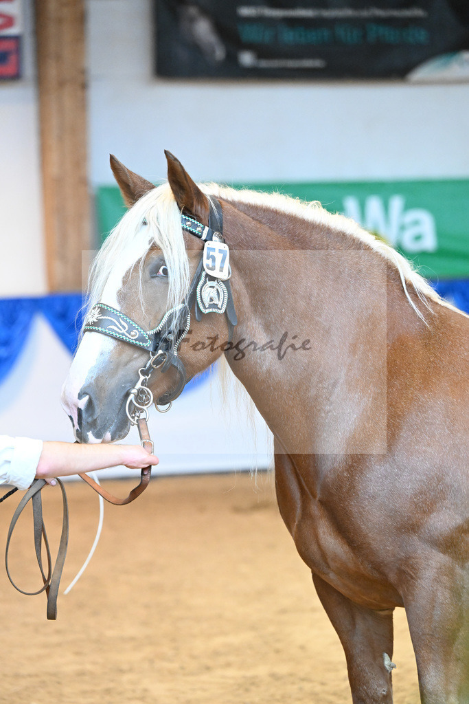 Kat-Nr. 57 Eliana W2_Waldherr_53220140 | hf-fotografie - Realisiert mit Pictrs.com