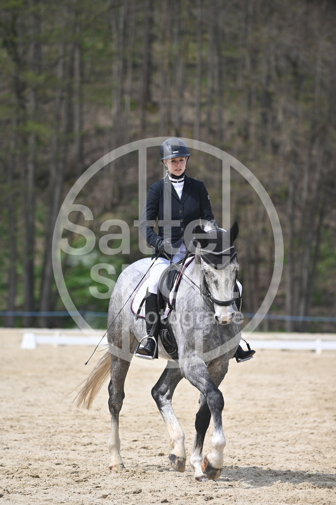 DSC_3501 | sattelsport - Realisiert mit Pictrs.com