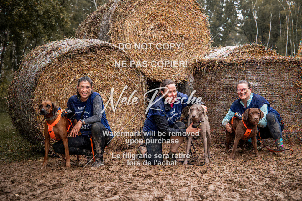 nelerasche_Hunsrück_So09-11_143 | nelerasche