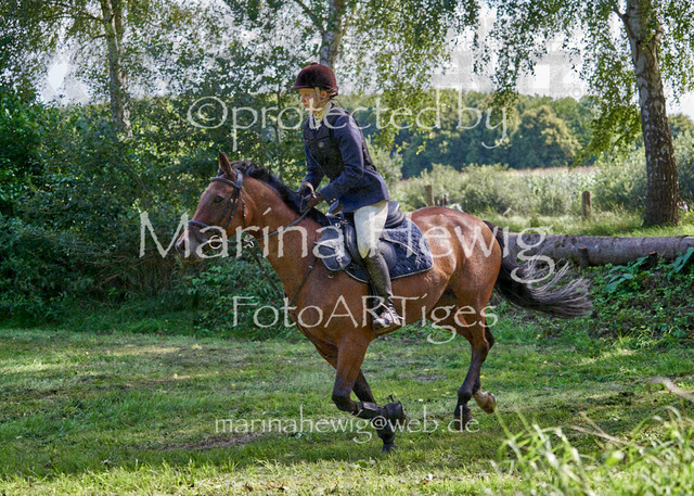 08-23 Bredeneek Jagd_MCH9340_Marina Hewig | Fotografie, FotoArt, PferdesportArt, Pferdesportfotografie, Landschaftsfotografie, Reisefotografie, Reise, Pferde - Realisiert mit Pictrs.com