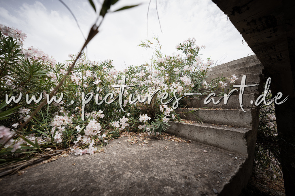 DSC09921 | pictures-art.de