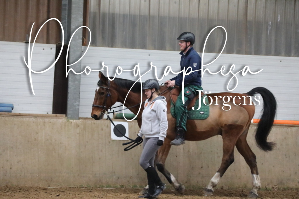 IMG_7192 | photographesa-joergens - Realisiert mit Pictrs.com