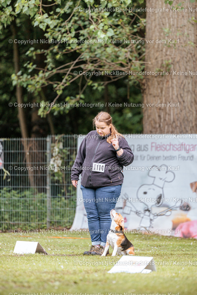 RO-Blumenthal-2026-Nickbest-Hundefotografie-1421 | Dein Hund! Dein Moment! Deine Erinnerungen! Hundefotografie in Bremen Blumenthal. Ich fange die besonderen Momente deines Vierbeiners ein – ob Indoor mit Blitzanlage oder in der freien Natur. Sicher dir dein Moment und dein Termin für eure Erinnerungen.