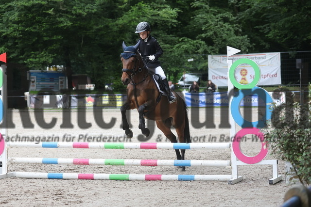 Ichenheim_2024_Prfg.Nr.26_Stilspring-WB_60cm_Tjark Teufel_Iva. S (4) | Alle Fotos der Reiterjournal Fotografin Doris Matthaes im Reiterjournal Online-Fotoshop. - Realisiert mit Pictrs.com