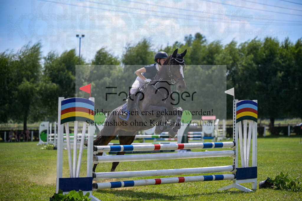 Reitturnier Voxtrup | Entdecke hochwertige Reitturnierfotos von Foto Oger. Professionell, emotional und authentisch – jetzt Lieblingsmomente im Shop bestellen.Deutschlandweite Turnierfotografie. - Realisiert mit Pictrs.com