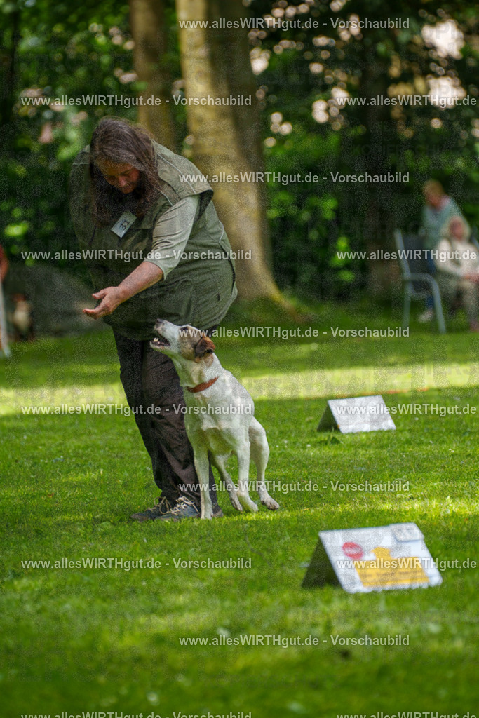 @allesWIRTHgut_Tierfotografie - www.allesWIRTHgut.de - 7R504344 | Professionelle Tierfotografie in Mönchengladbach von Daniel Wirth (allesWIRTHgut). Liebevolle & natürliche Bilder von Hunden & Katzen für unvergessliche Erinnerungen.