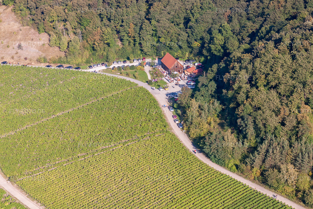 Luftbild: Weinparadiesscheune im Ortsteil Bullenheim in Ippesheim im Bundesland Bayern in Deutschland. Foto: IMG_45687-1734.jpg vom 25.09.2011 durch Werner Riehm/FLY-FOTO.de