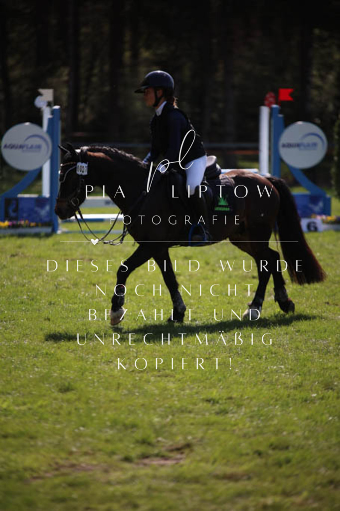 IMGT5700 | pl-fotografie