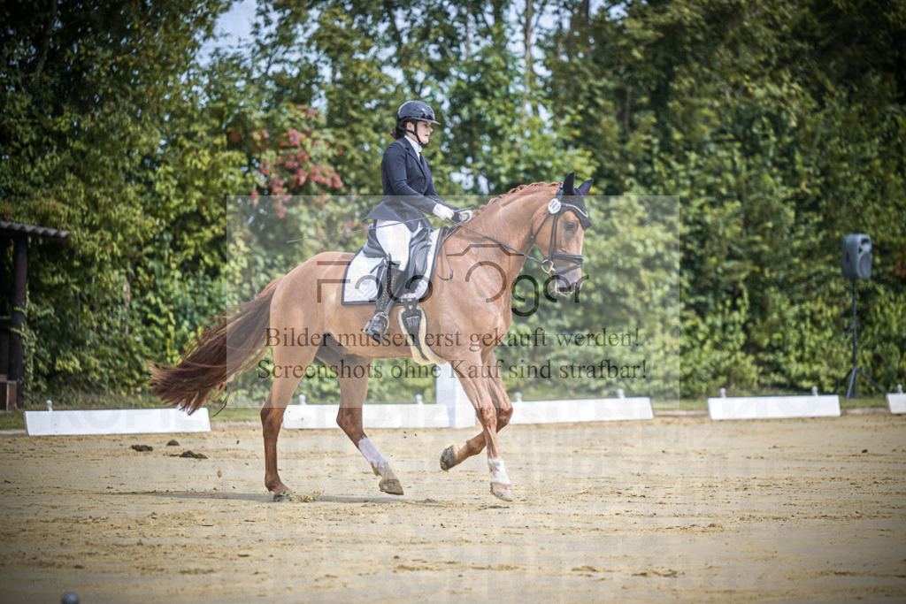 DOS_9898 | Entdecke hochwertige Reitturnierfotos von Foto Oger. Professionell, emotional und authentisch – jetzt Lieblingsmomente im Shop bestellen.Deutschlandweite Turnierfotografie. - Realisiert mit Pictrs.com