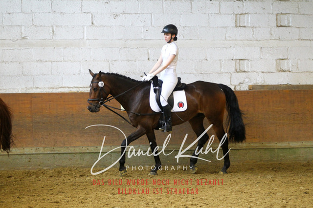 DKP43924 | Turniersportfotografie; Pferdefotografie; Dressurfotografie