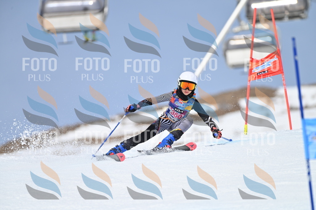 BGV_3633 | holidayphoto