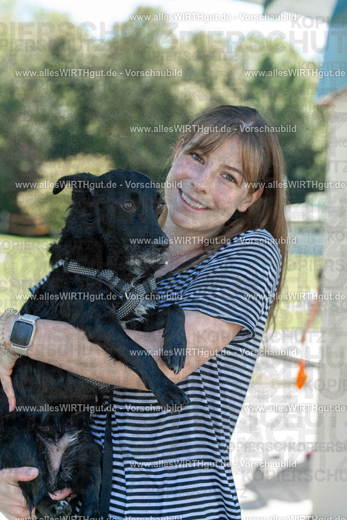 Hundeschwimmen_Volksbad_2026-allesWIRTHgut_Tierfotografie-2609061259-120953-7R500369 | Professionelle Tierfotografie in Mönchengladbach von Daniel Wirth (allesWIRTHgut). Liebevolle & natürliche Bilder von Hunden & Katzen für unvergessliche Erinnerungen.